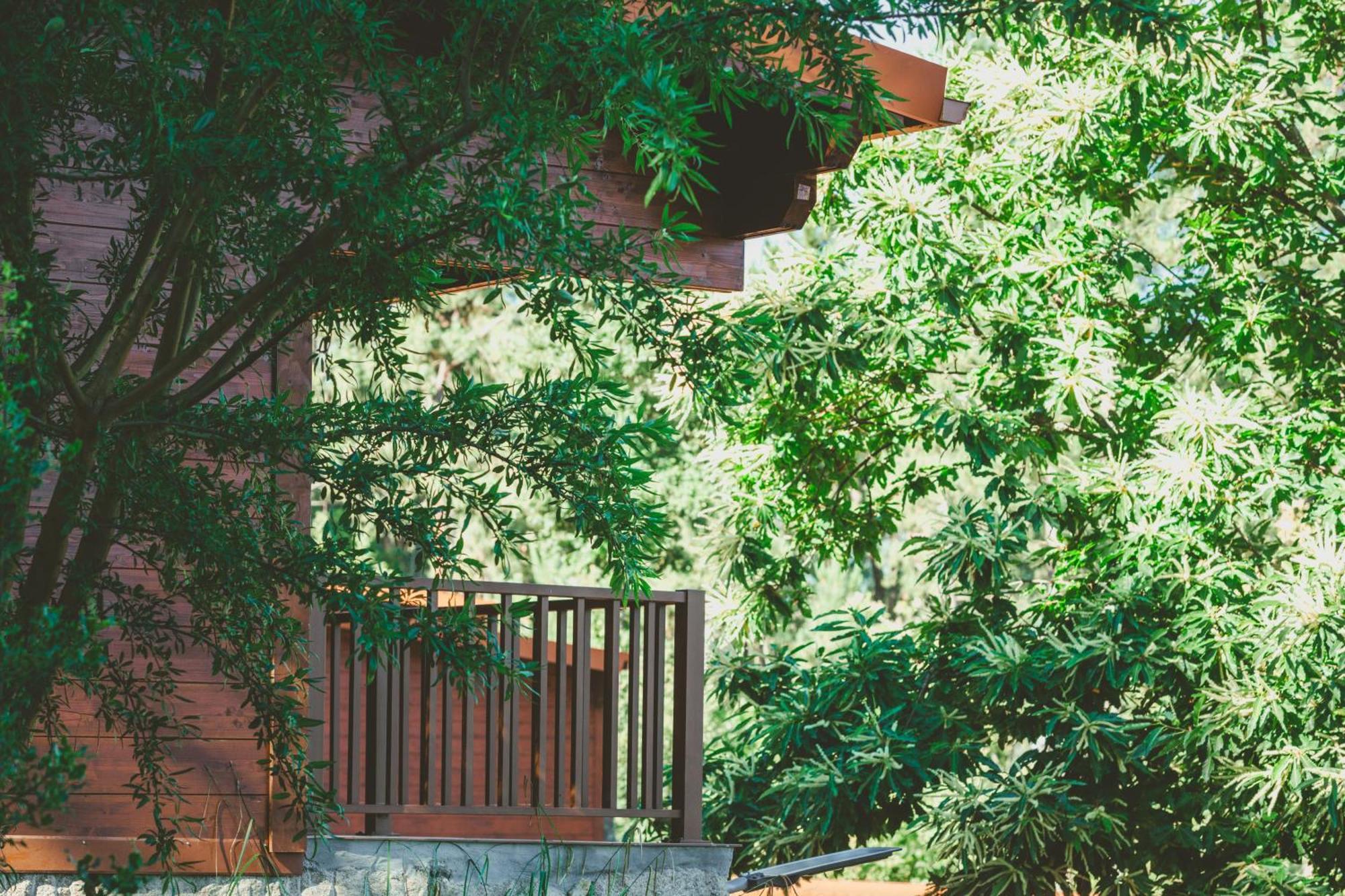 Quinta Do Lameiro Tarouca Esterno foto